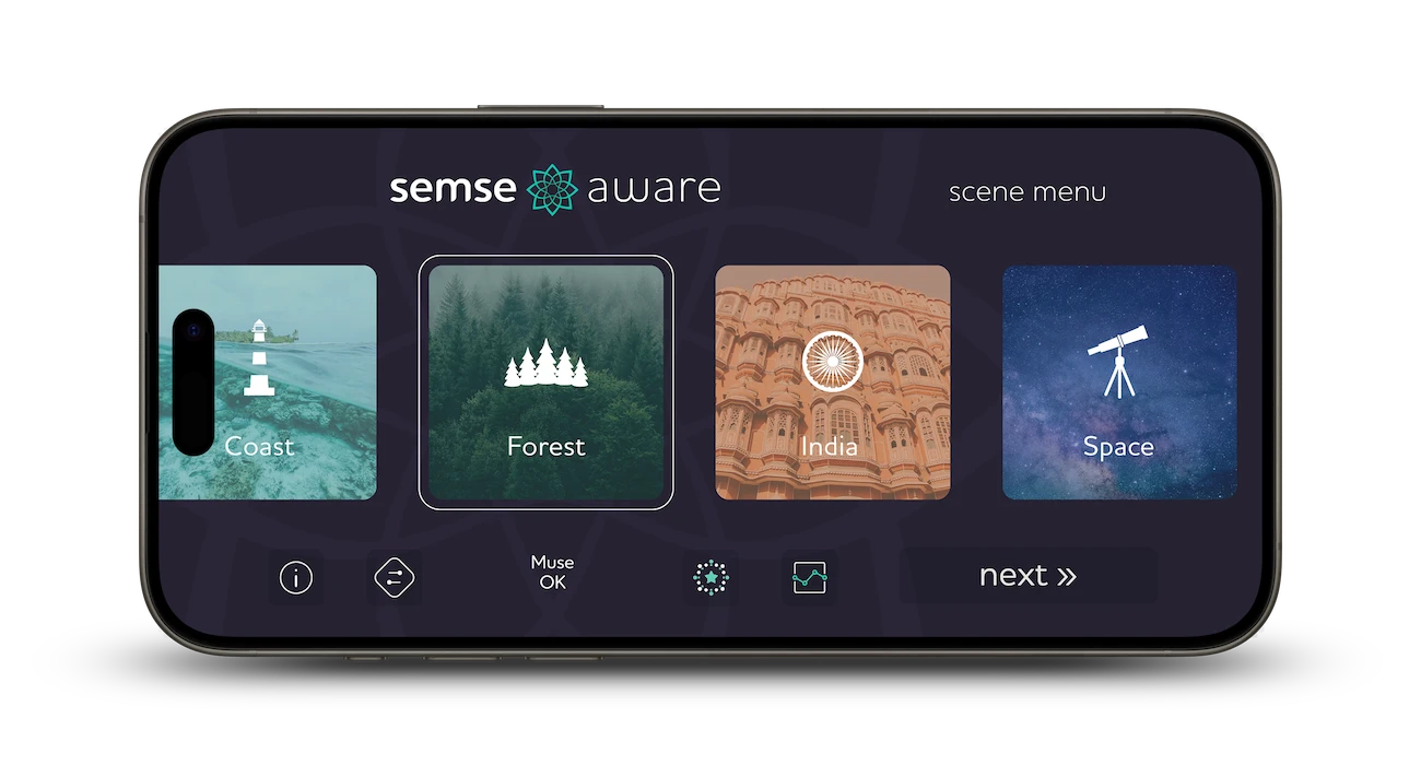 Semse Aware application Scene menu shown on iPhone 15 Pro Max